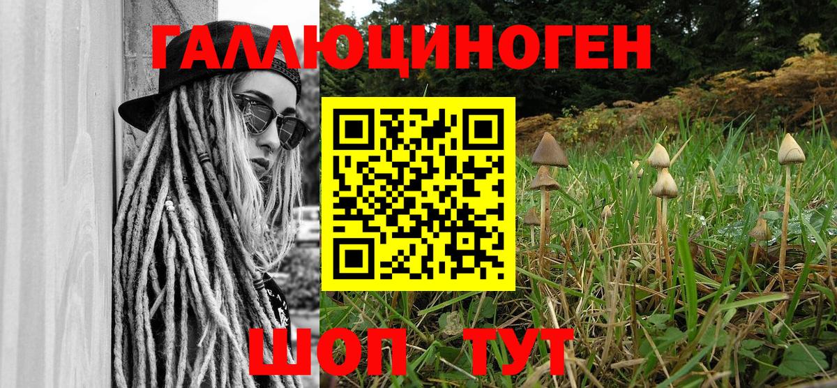 Галлюциногенные грибы MAGIC MUSHROOMS  Вход с VPN  Якутск 